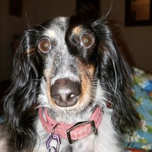 Meet your Posher, Ruth